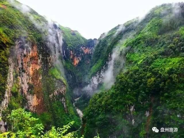 金刚鹦鹉逃生